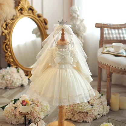 TuTu Princess dress